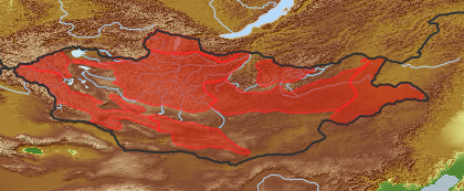 taxon distribution for Saxifraga cernua acc. to Geobotanical Regions of Mongolia by Grubov (1955)