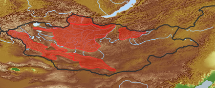 taxon distribution for Caragana jubata acc. to Geobotanical Regions of Mongolia by Grubov (1955)