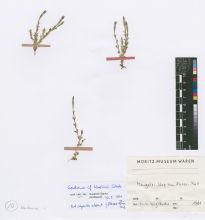 scans available